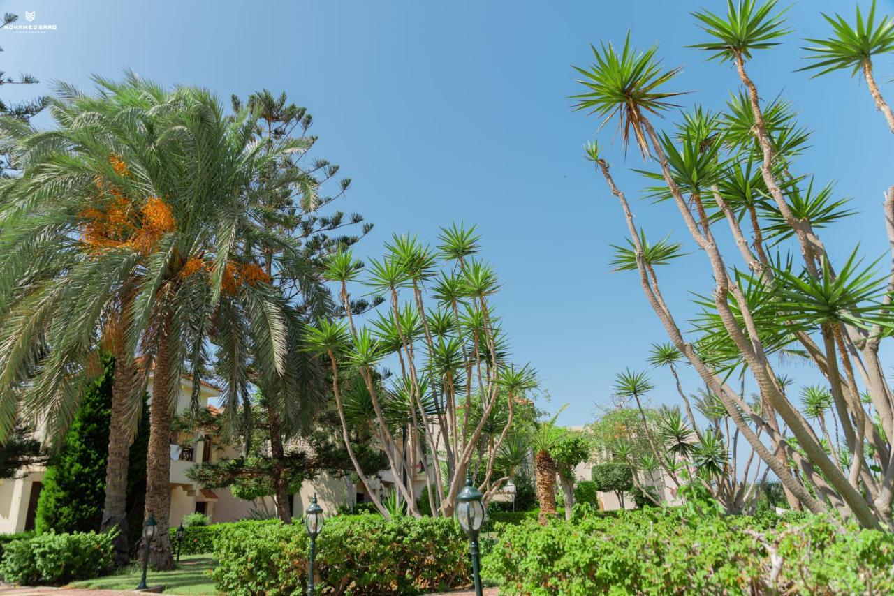 Marhaba Resort Πόρτ Σάιντ Εξωτερικό φωτογραφία